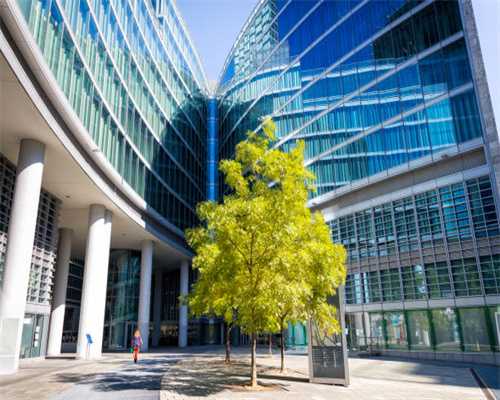 一杯贡茶引发深企商标争夺战 哪家才是正宗贡茶？