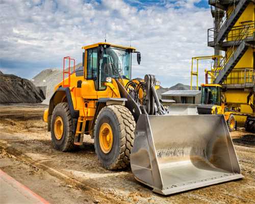 无糖茶的2024，和未来的植物饮料