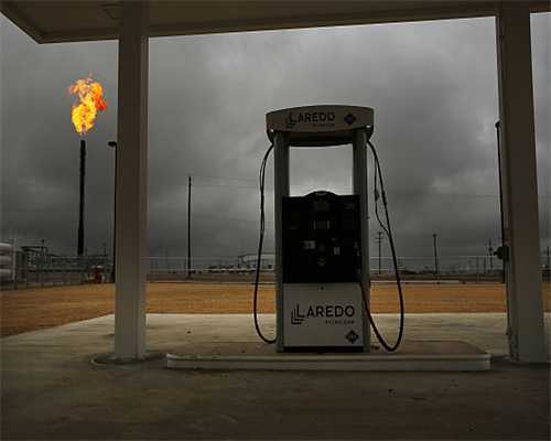 汉口银行重庆分行“贷”动酉阳油茶产业发展