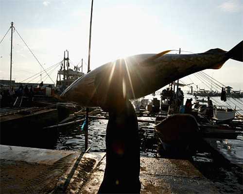 34岁世女一又被骂表里不一，她到底是不是真绿茶？