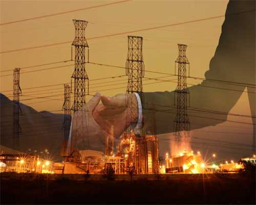 茶饮调理之风热感冒桑菊饮