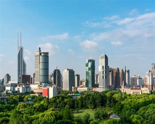 长在山脚下的这种“牛白藤”，叶子可泡茶还可入药，遇见可别错过