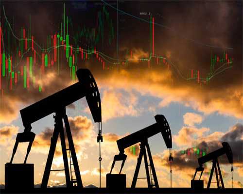 信阳市茶产业协会到浉河区董家河镇李湾村走访考察