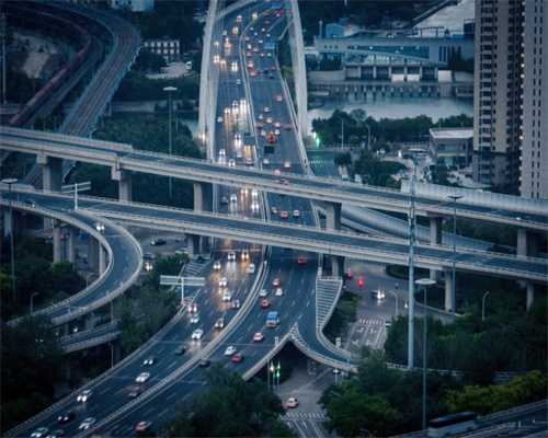 带你了解云南古茶树上的冬虫夏草——螃蟹脚（一）