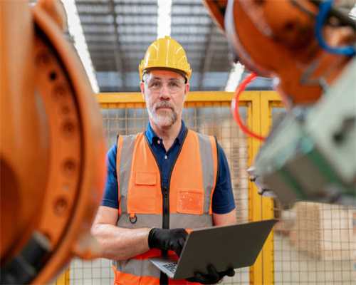 古树普洱，茶中的贵族：重建普洱茶的生态系统