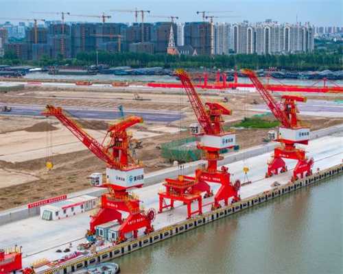 痛风的中医治疗及几个实用简便茶饮