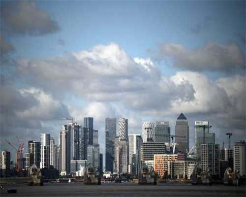 梅州：茶园套种广金钱草，探索农业增值新模式