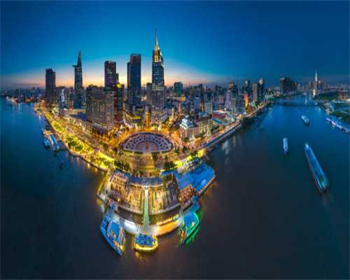 师宗县五龙乡：油茶丰收采摘忙