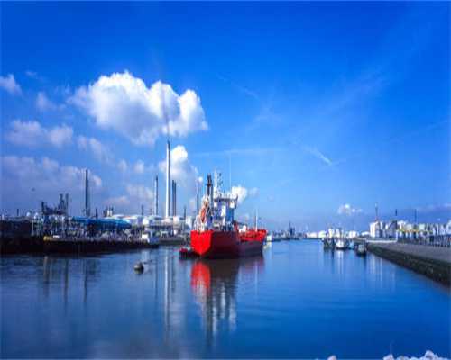 凤尾草加米煮成“凉茶” 厚街王姨说可清热祛湿