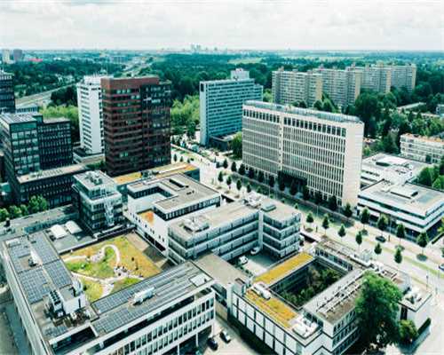 从一穷二白到坐拥百亿帝国，蜜雪冰城和霸王茶姫成功的秘密？