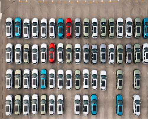 南平市海峡茶业交流协会到光泽县开展茶企调研