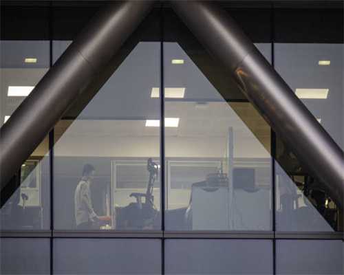 她漂洋过海，只为诉说白茶的故事