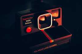 “寿宁乌茶”开茶节举行