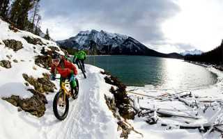 研读经典《茶经》和《书谱》杂记