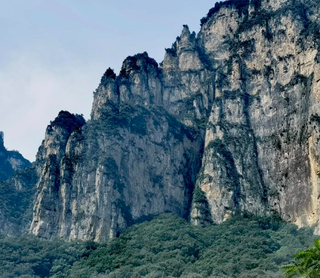 不懂茶，去茶叶店里应该怎么买茶？
