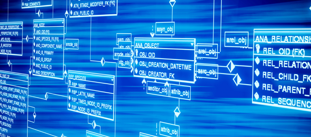 不懂茶，去茶叶店里应该怎么买茶？