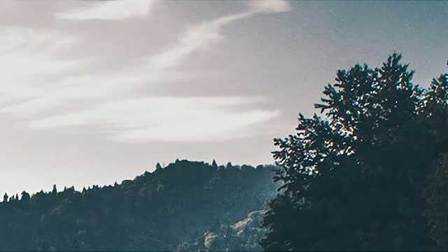 不懂茶，去茶叶店里应该怎么买茶？