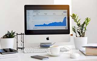 “寿宁乌茶”开茶节举行